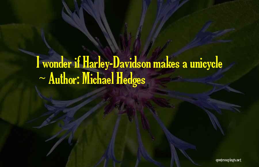 Michael Hedges Quotes 979887