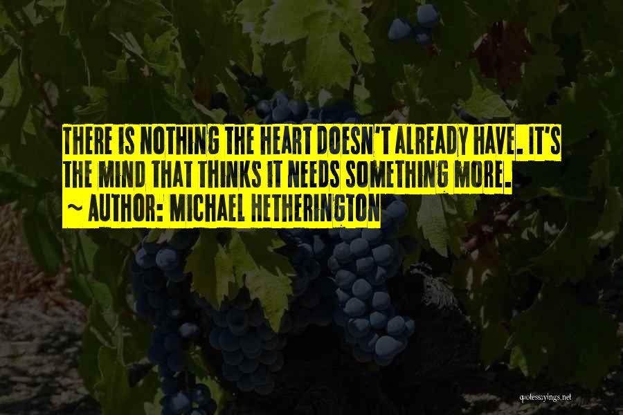 Michael Hetherington Quotes 1748899