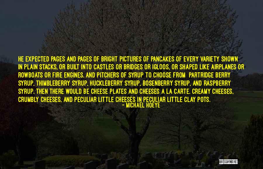 Michael Hoeye Quotes 701864 Michael Hoeye Quotes 701864