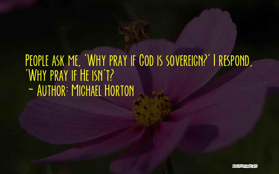 Michael Horton Quotes 898847
