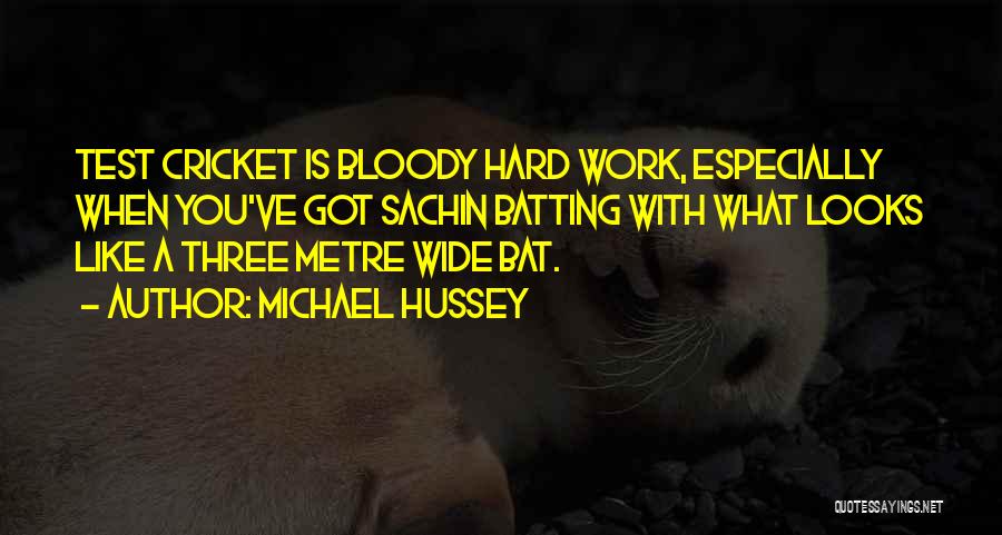 Michael Hussey Quotes 1297811