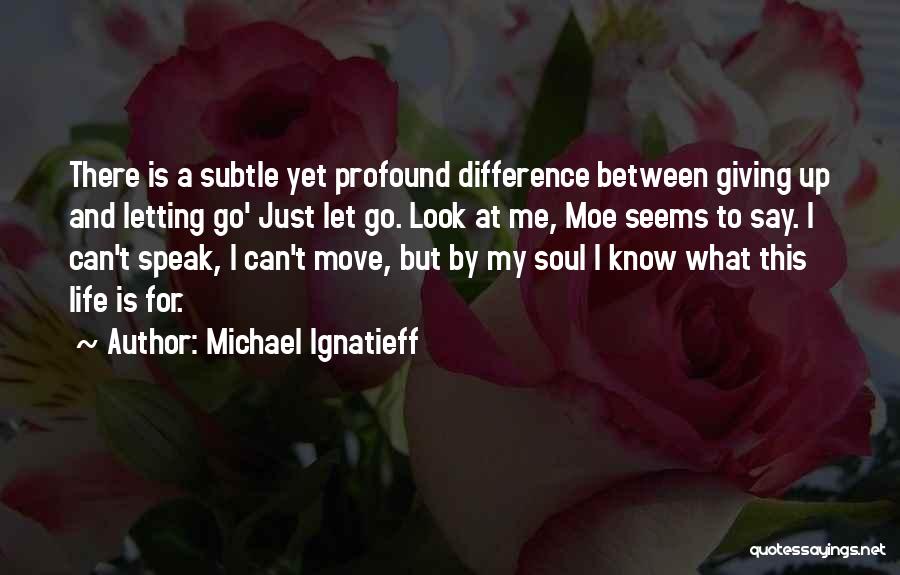 Michael Ignatieff Quotes 1383882