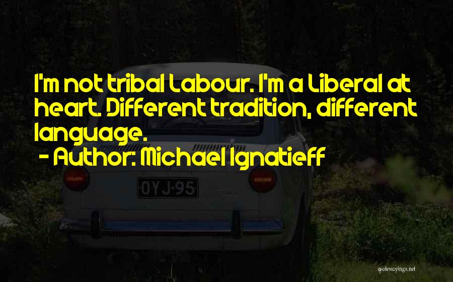 Michael Ignatieff Quotes 1853113