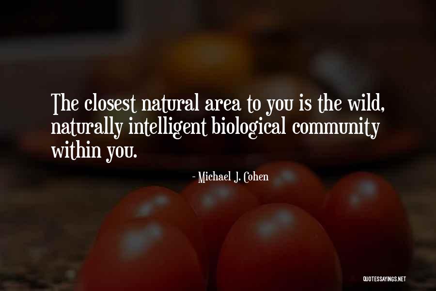 Michael J. Cohen Quotes 1589304