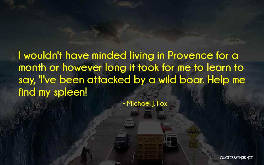 Michael J. Fox Quotes 305184