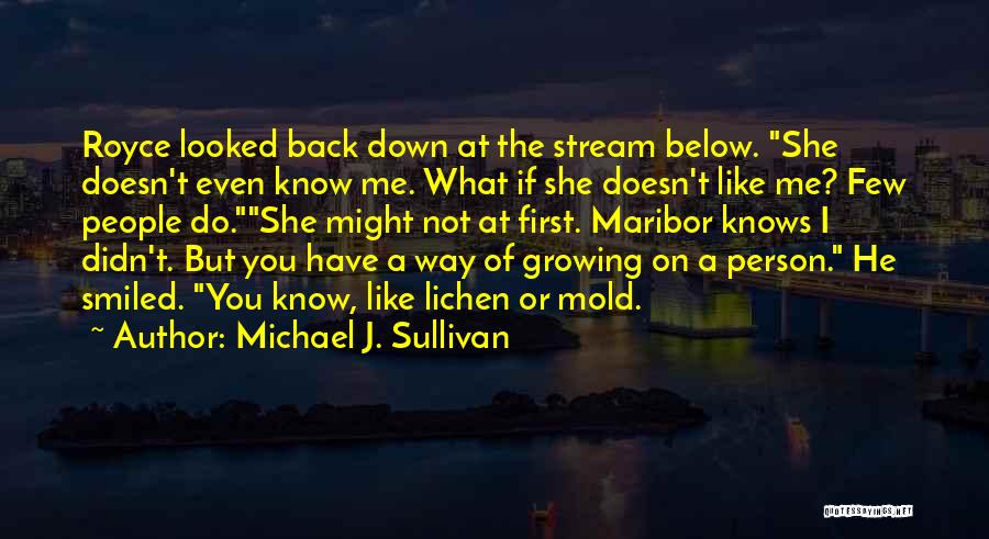 Michael J. Sullivan Quotes 1098971