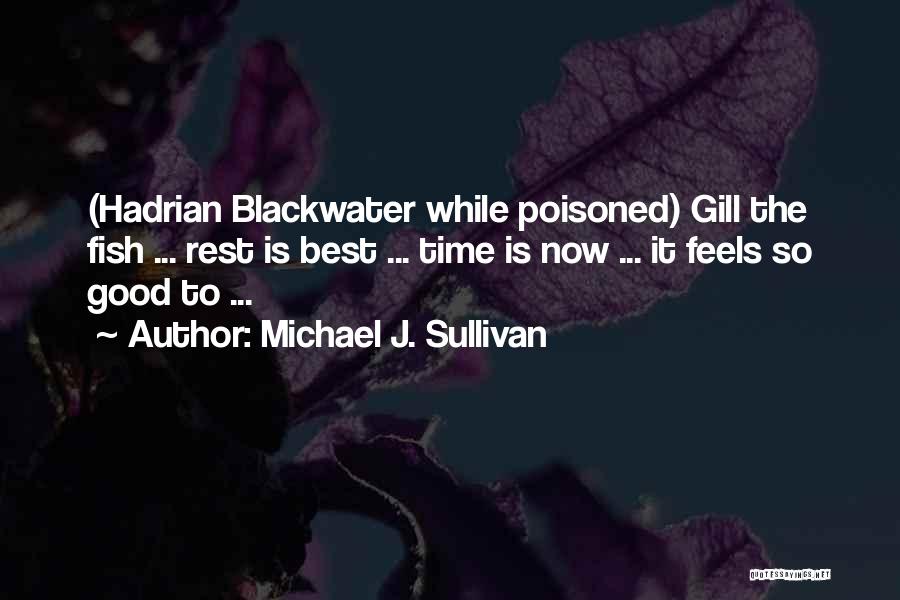 Michael J. Sullivan Quotes 1151808