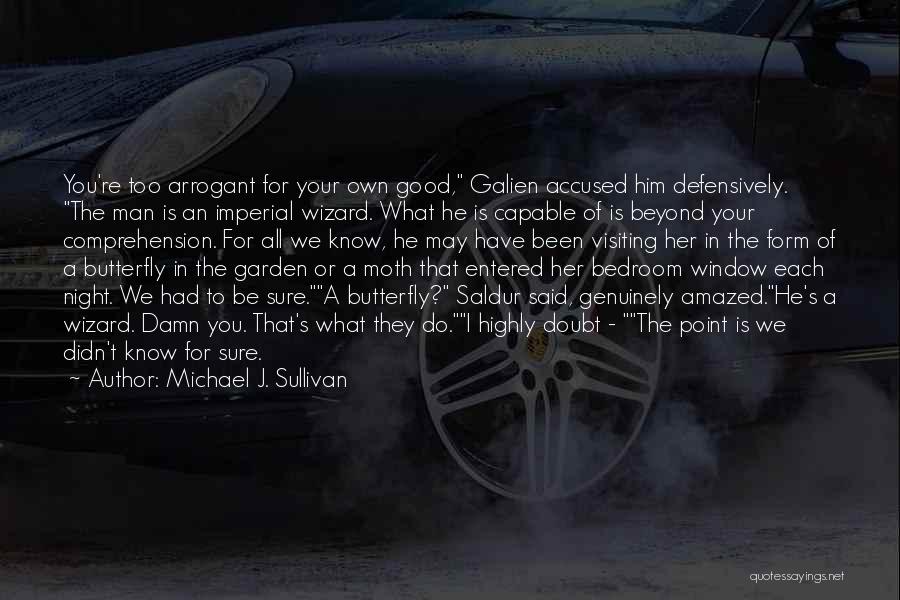 Michael J. Sullivan Quotes 1343904