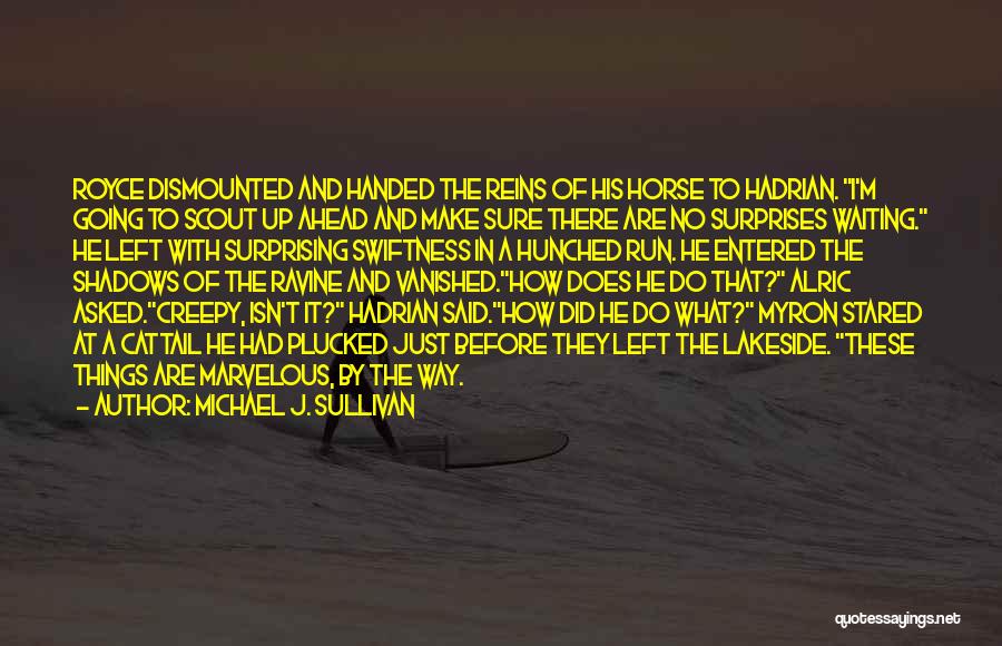 Michael J. Sullivan Quotes 1460049