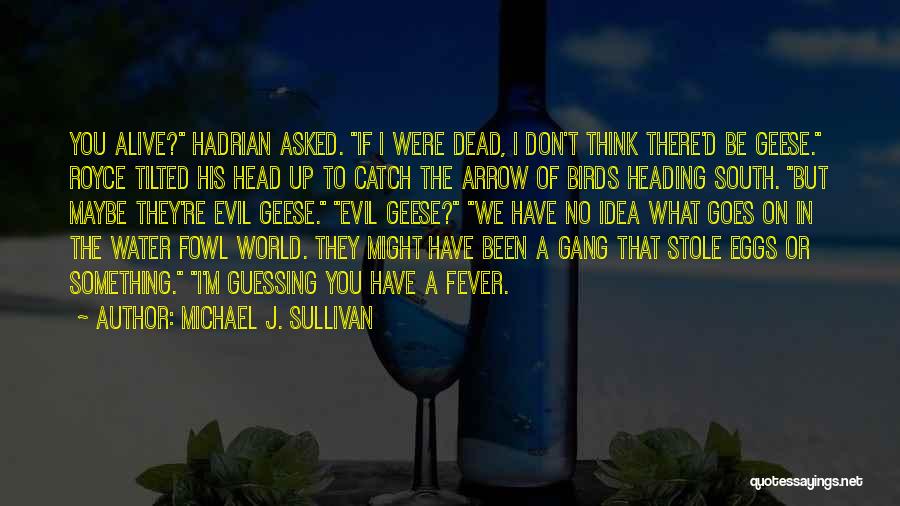 Michael J. Sullivan Quotes 2173285