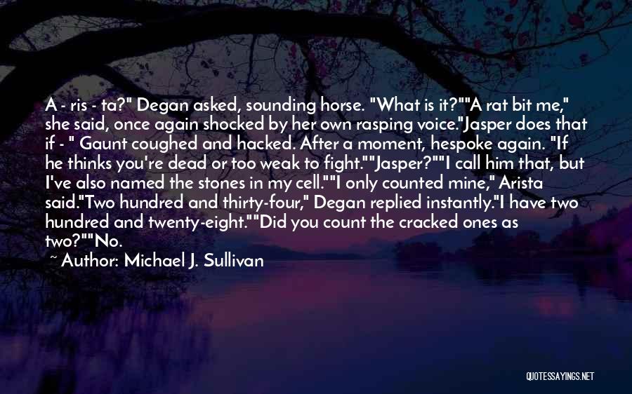 Michael J. Sullivan Quotes 667628