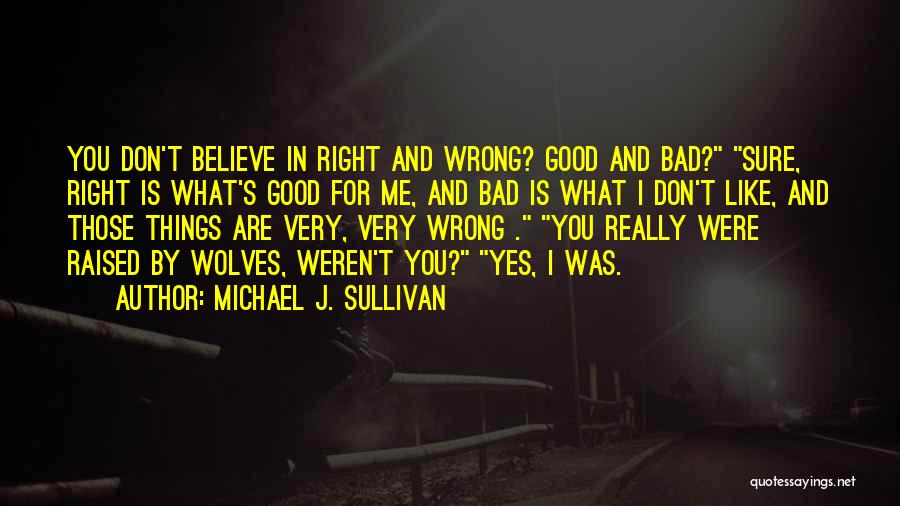 Michael J. Sullivan Quotes 821447