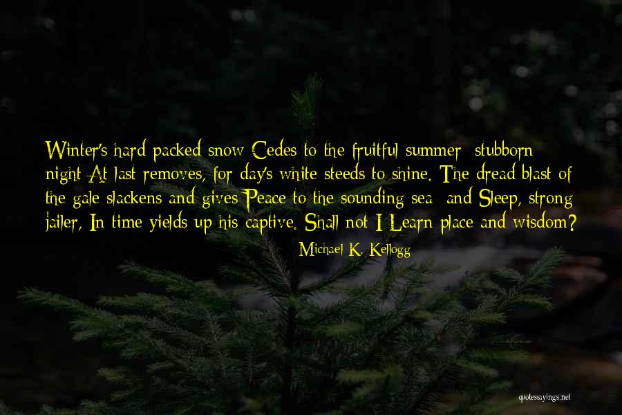 Michael K. Kellogg Quotes 1239847 Michael K. Kellogg Quotes 1239847