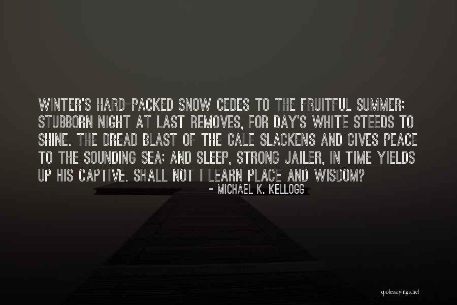 Michael K Quotes By Michael K. Kellogg