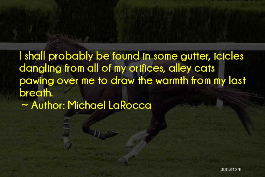 Michael LaRocca Quotes 1437547