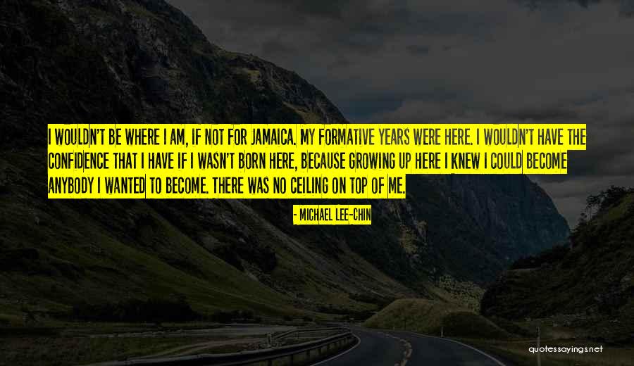 Michael Lee-Chin Quotes 1460525 Michael Lee-Chin Quotes 1460525