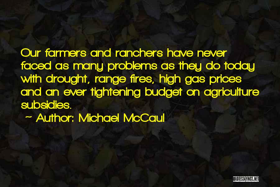 Michael McCaul Quotes 933367