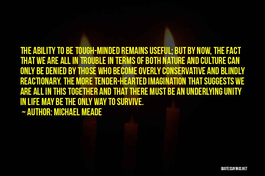 Michael Meade Quotes 1011261