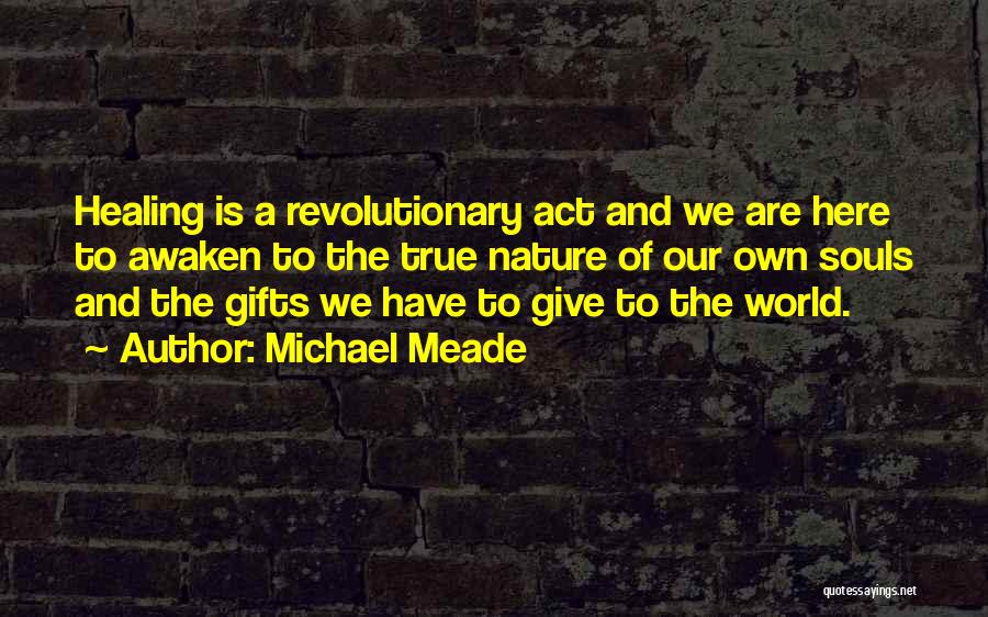 Michael Meade Quotes 1502555