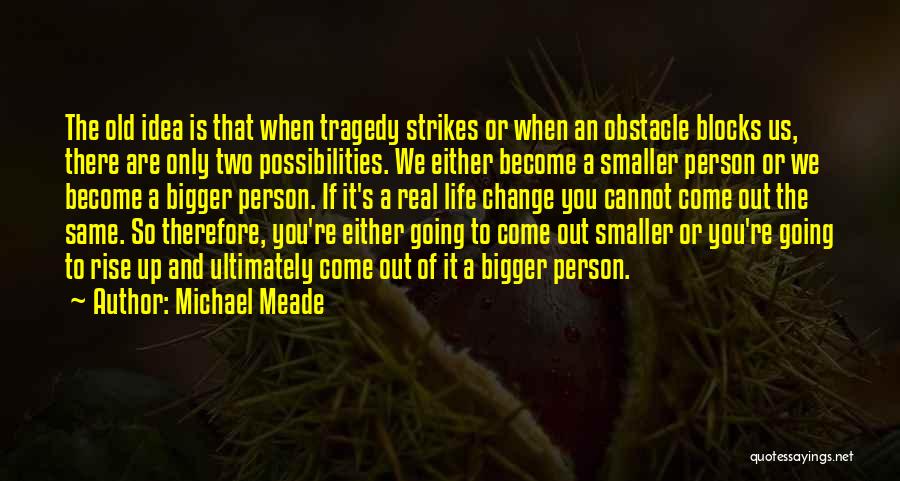 Michael Meade Quotes 1760893