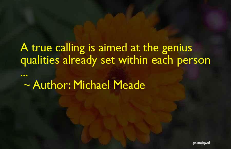 Michael Meade Quotes 1914827