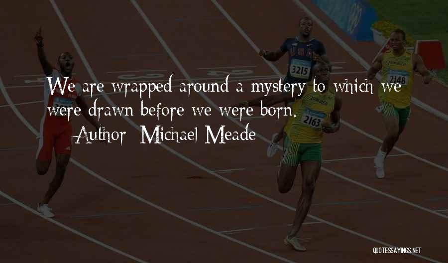 Michael Meade Quotes 197094