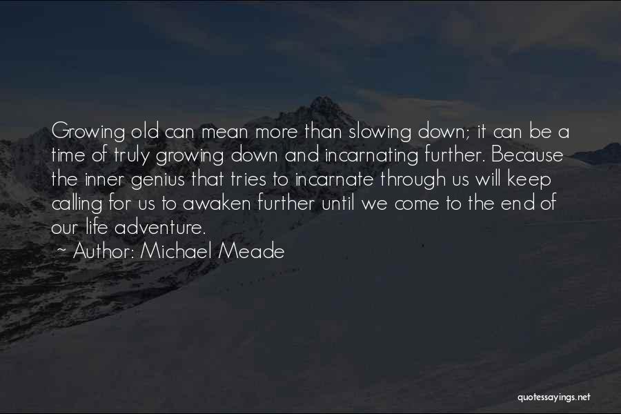 Michael Meade Quotes 1994462