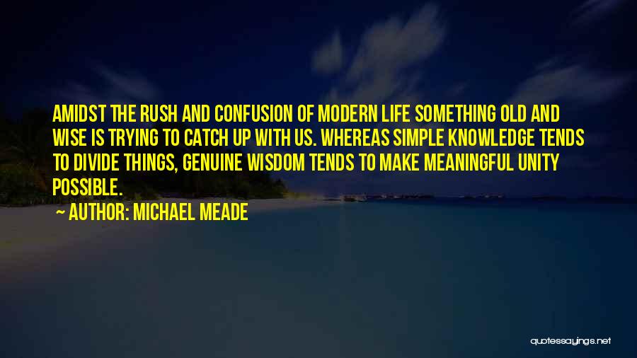 Michael Meade Quotes 2041659