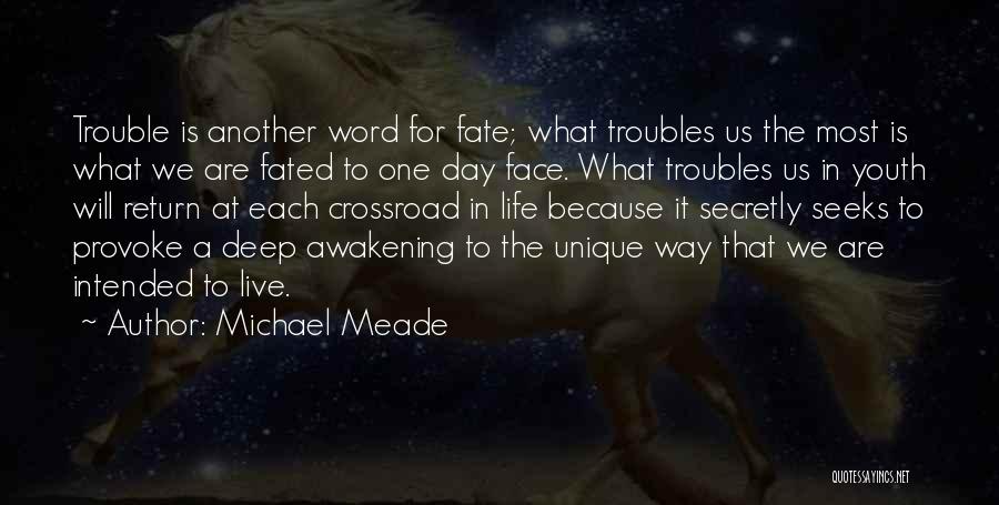 Michael Meade Quotes 2141732