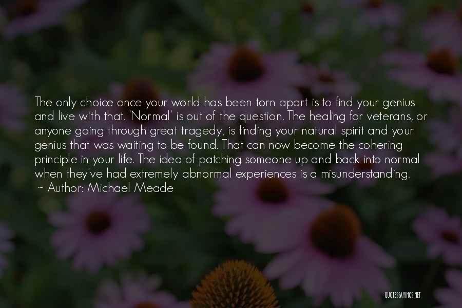 Michael Meade Quotes 2251962