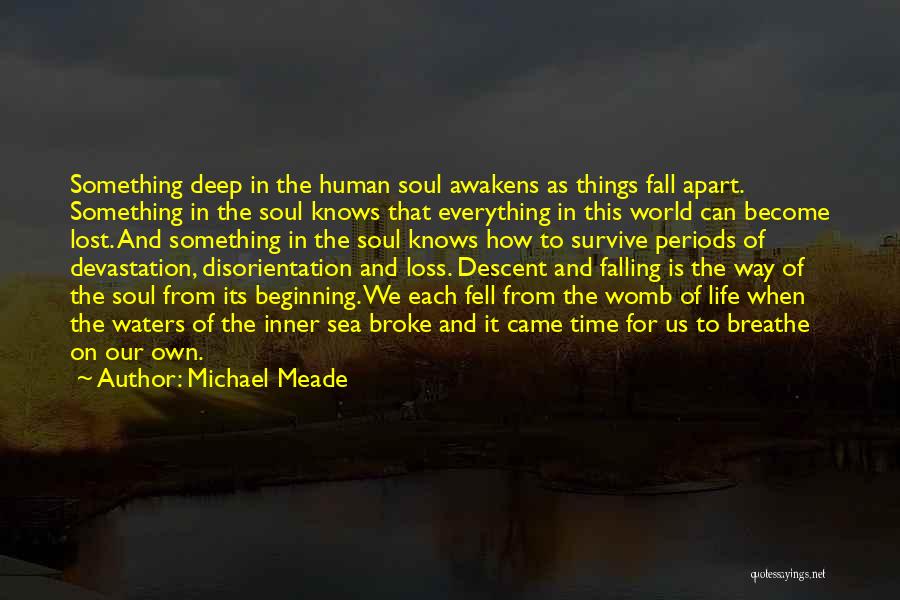 Michael Meade Quotes 641873