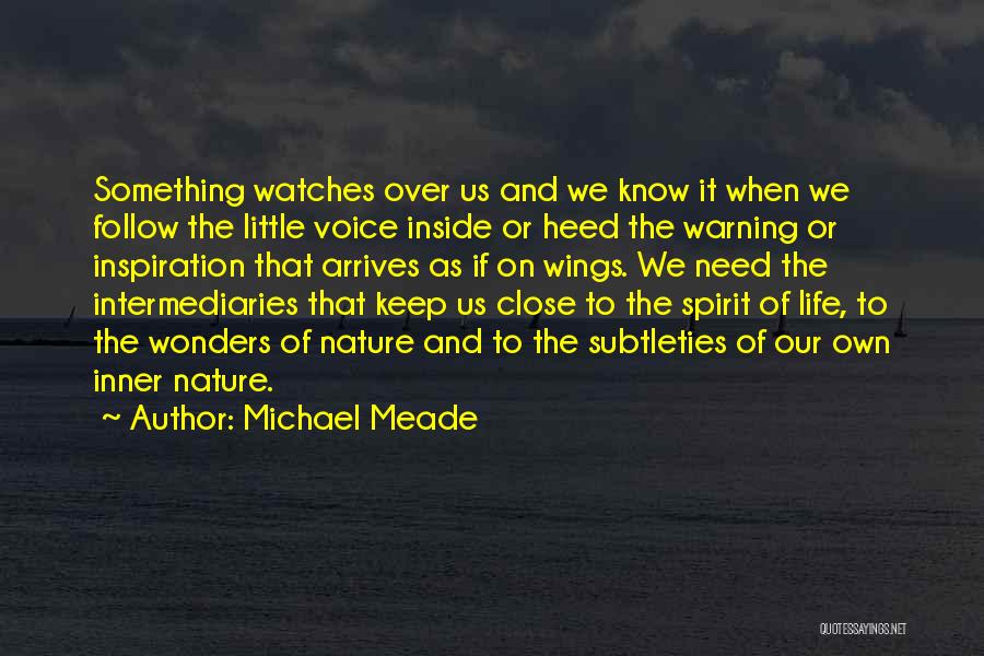 Michael Meade Quotes 722343