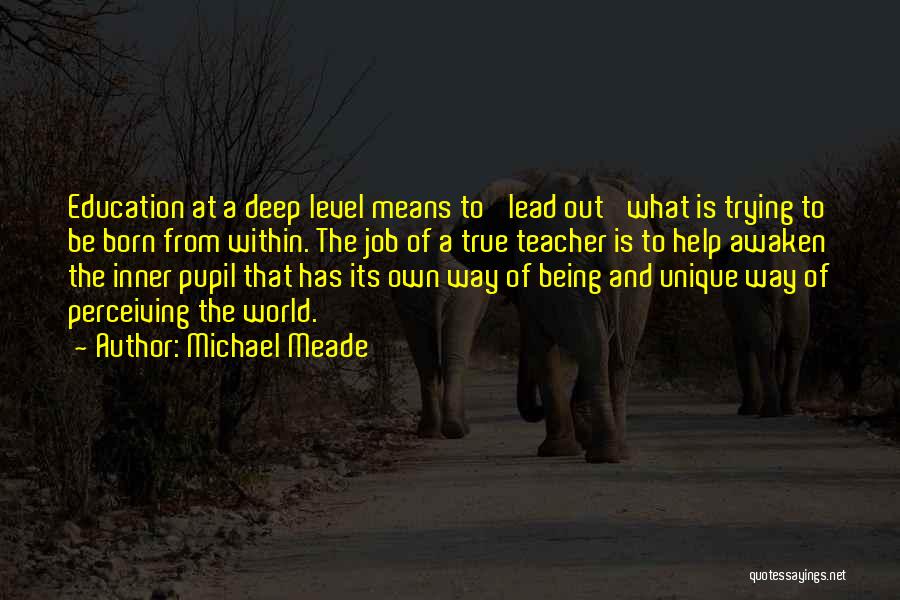 Michael Meade Quotes 779121