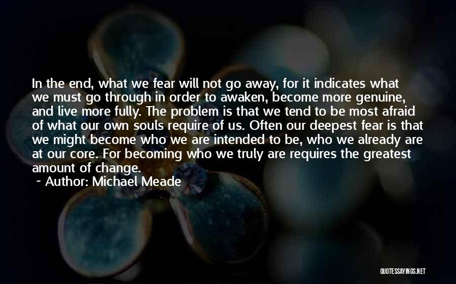 Michael Meade Quotes 821074