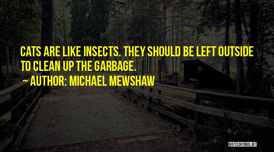 Michael Mewshaw Quotes 1606138