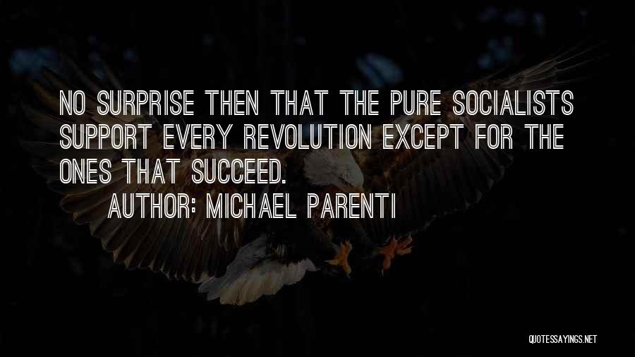 Michael Parenti Quotes 416383