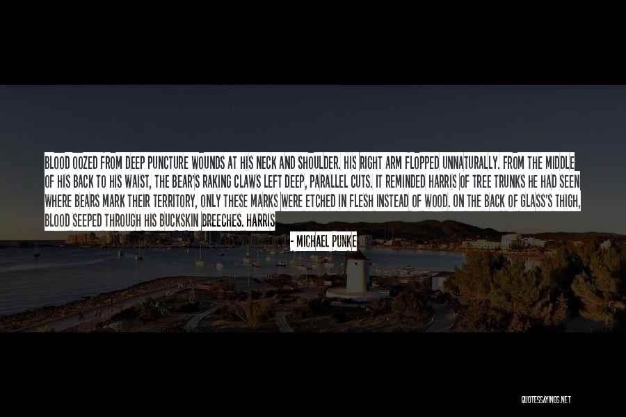 Michael Punke Quotes 263421 Michael Punke Quotes 263421