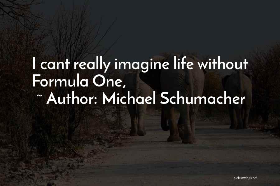 Michael Schumacher Quotes 1347134