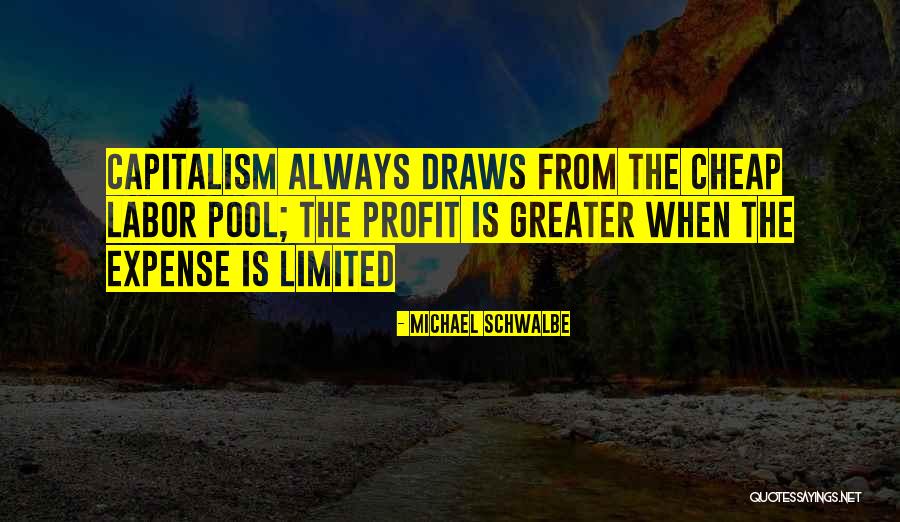 Michael Schwalbe Quotes 2079008