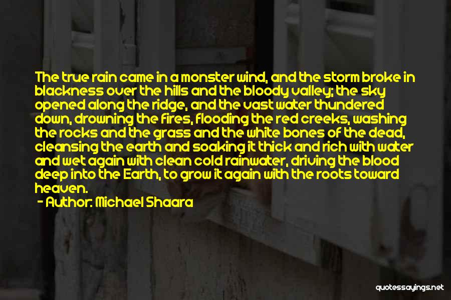 Michael Shaara Quotes 1172503