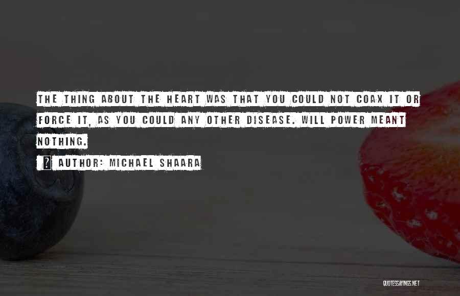 Michael Shaara Quotes 1387186