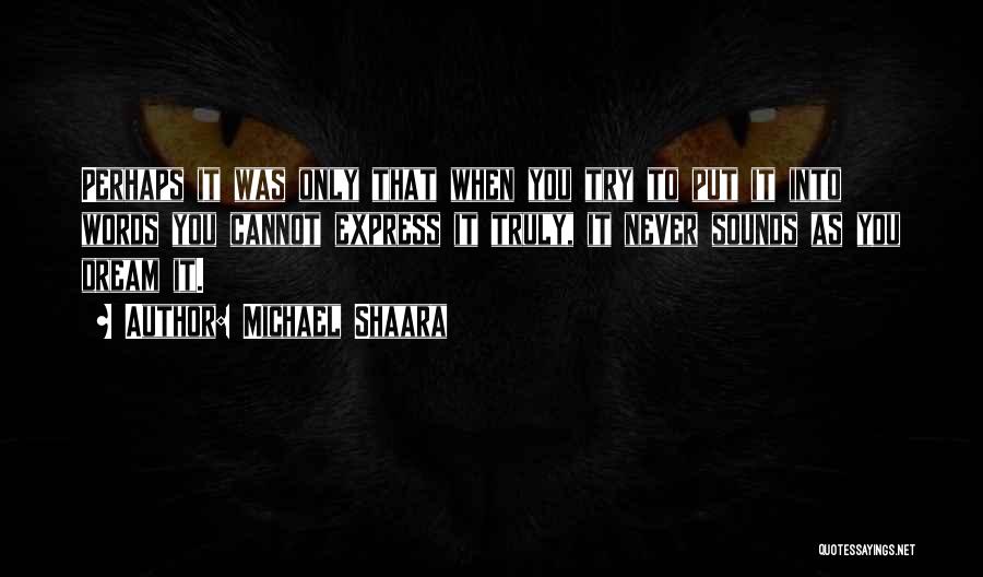 Michael Shaara Quotes 253308