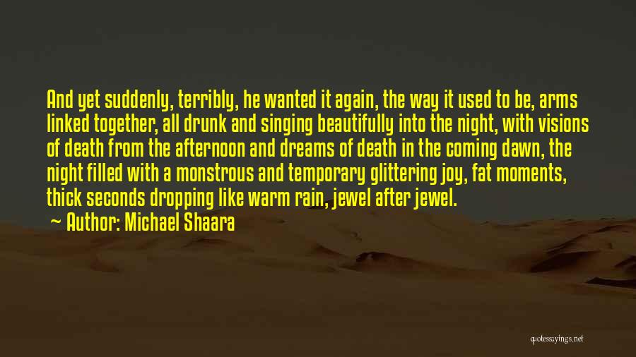 Michael Shaara Quotes 415715