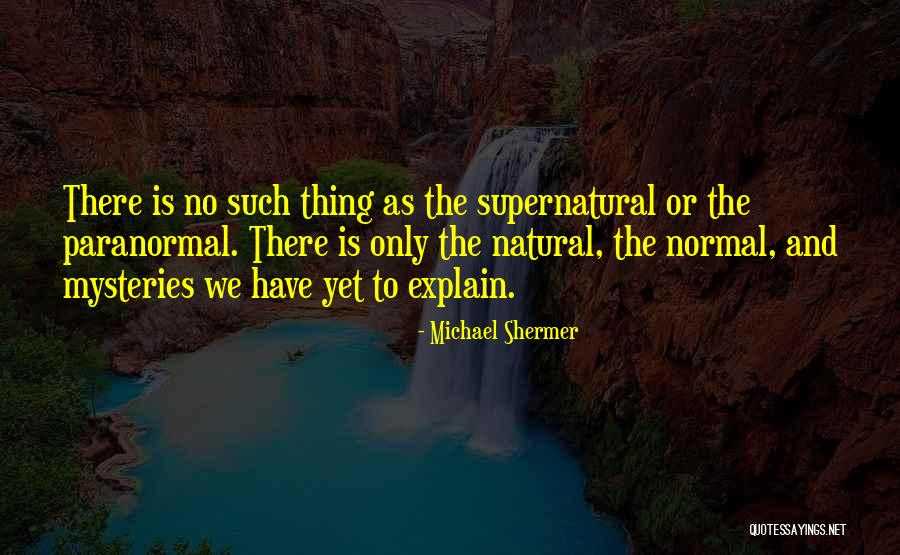 Michael Shermer Quotes 722745