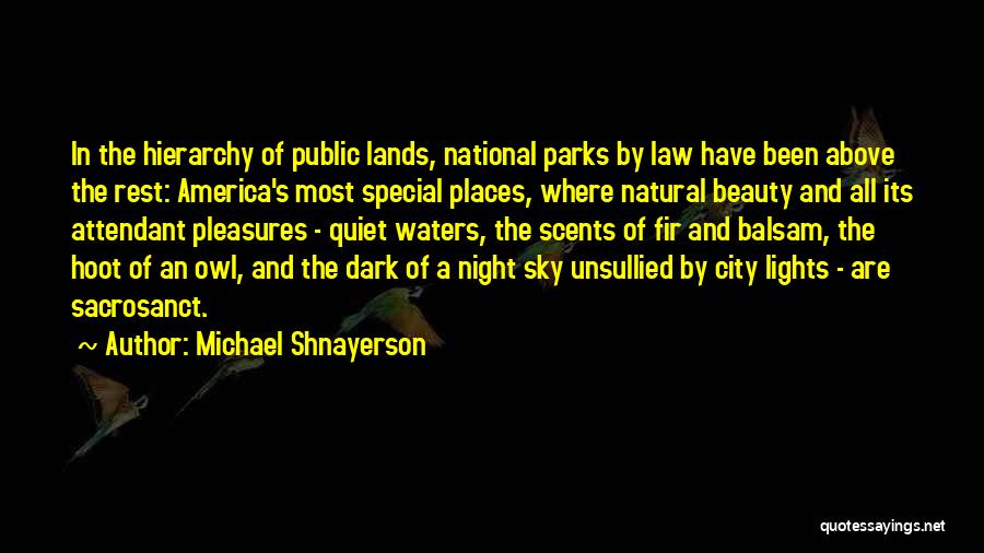 Michael Shnayerson Quotes 998305