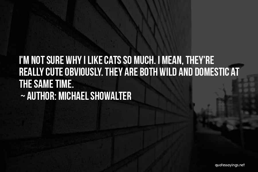 Michael Showalter Quotes 1631606