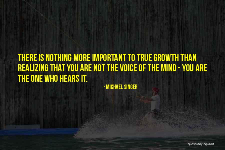 Michael Singer Quotes 822857