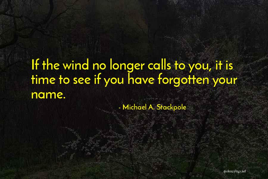 Michael Stackpole Quotes By Michael A. Stackpole