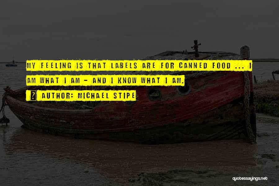 Michael Stipe Quotes 1544119