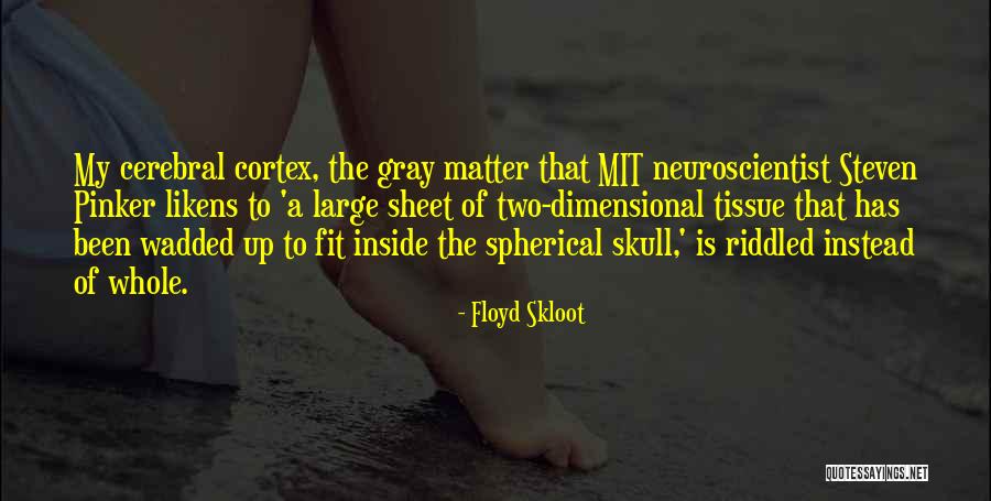 Michael To Fredo Quotes By Floyd Skloot Michael To Fredo Quotes By Floyd Skloot